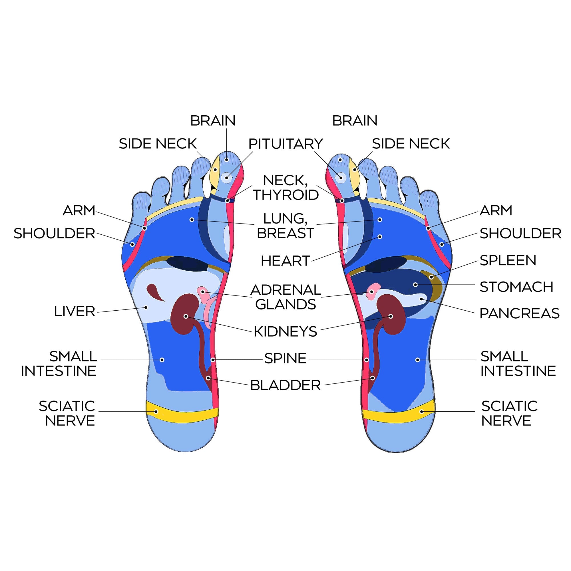 Advanced Exfoliating Foot Mask Single