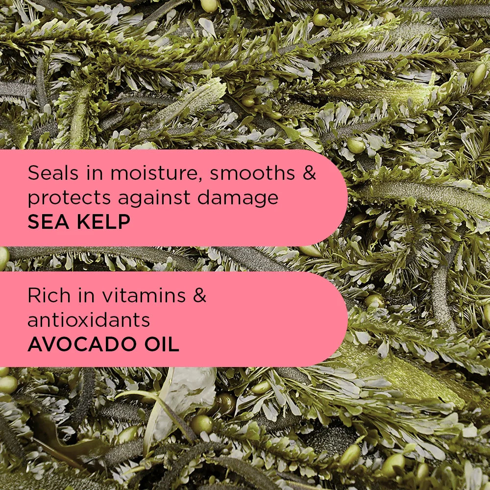 Wave Hello Curl Defining Shampoo