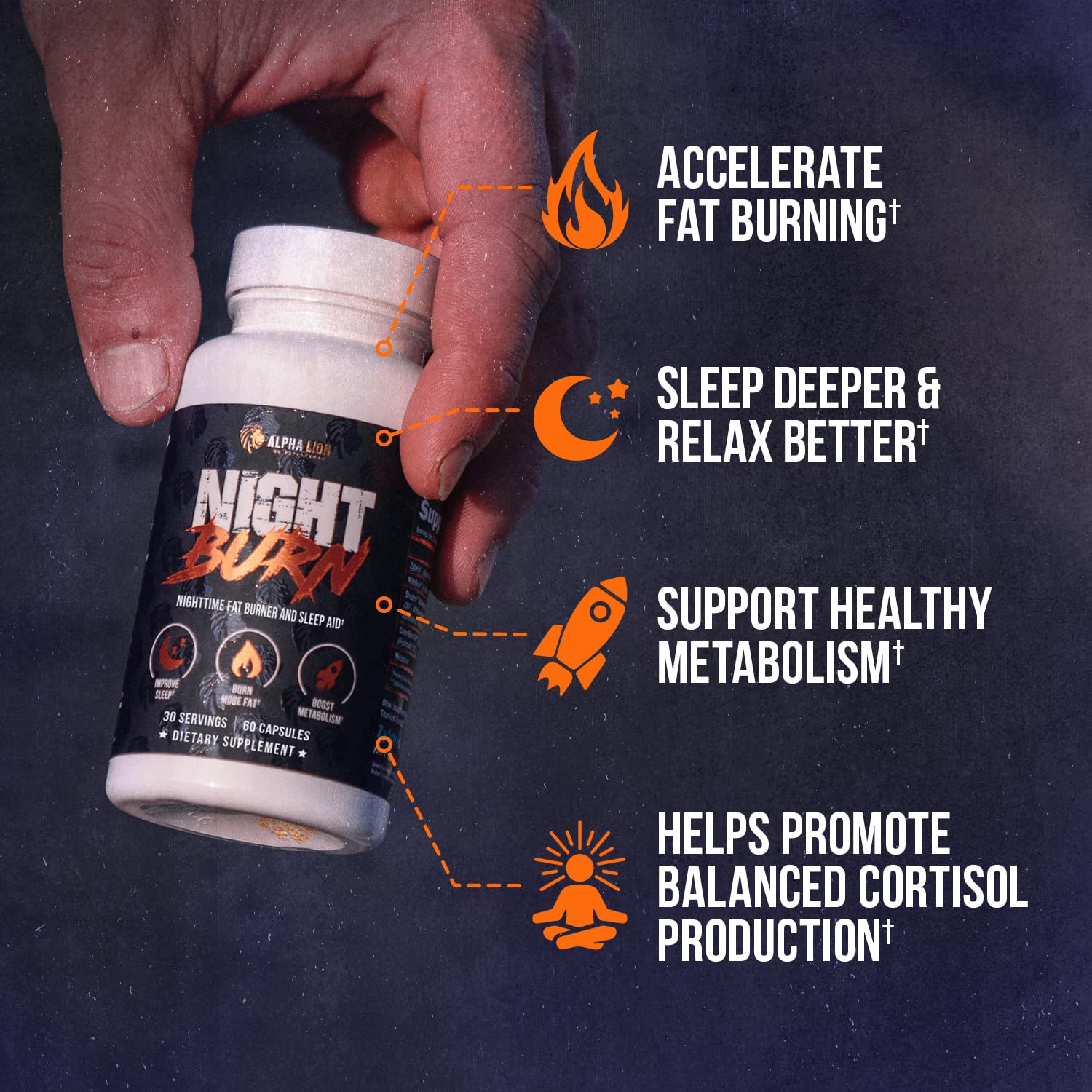 ALPHA LION Night Burn – Metabolism Booster for Lean Muscle (60 Capsules)